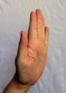 Hand sign 'Stop' (1a)